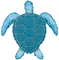 15x14 Loggerhead Turtle
