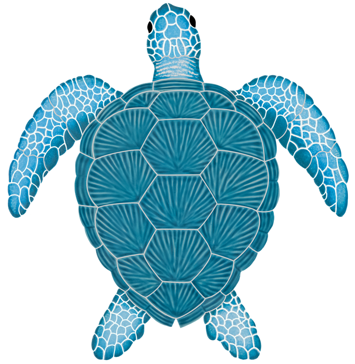15x14 Loggerhead Turtle