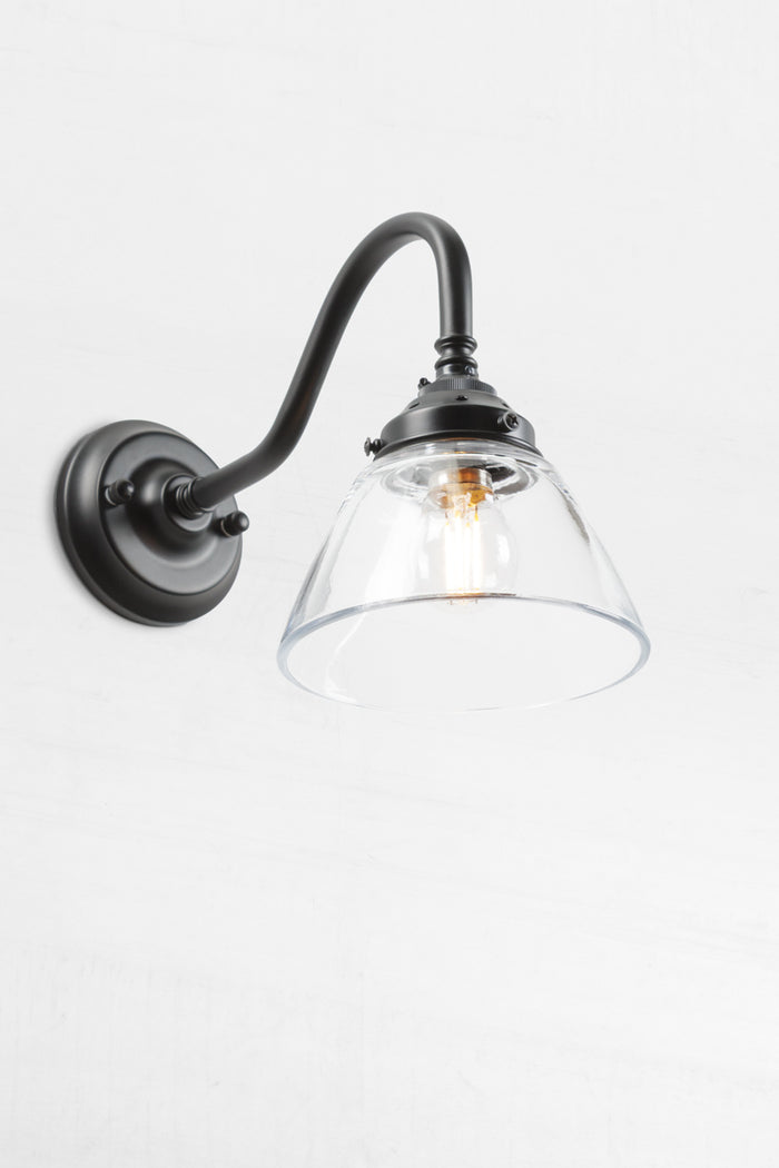 Belmont robusGlass on black Gooseneck Wall Light clear