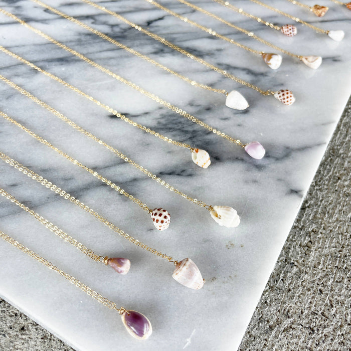 *BESTSELLER* Mini Hawaii Shell Necklace