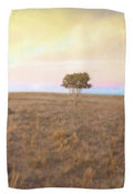 Cedar Tree at Sunset Kitchen Towel