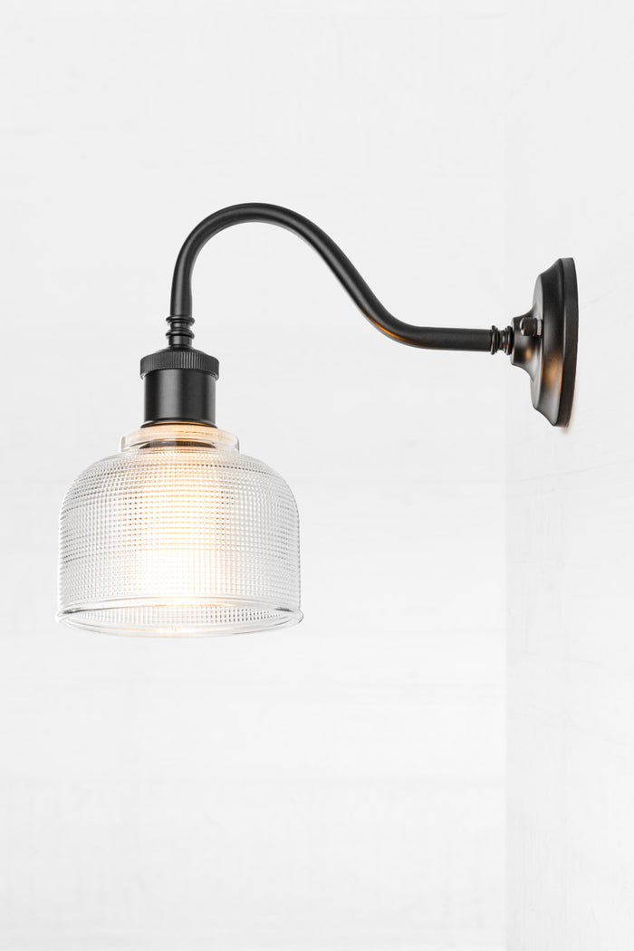 Small clear holophane shade on a black large gooseneck outdoor wall sconce.