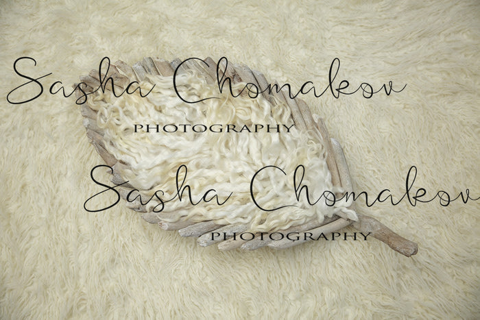Digital Backdrop