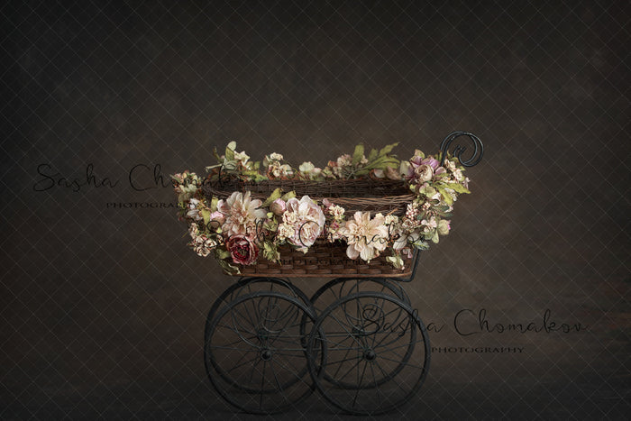 Digital Backdrop