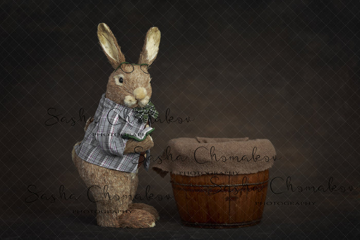 Digital Backdrop