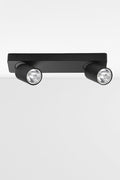 Black double spot light bar.