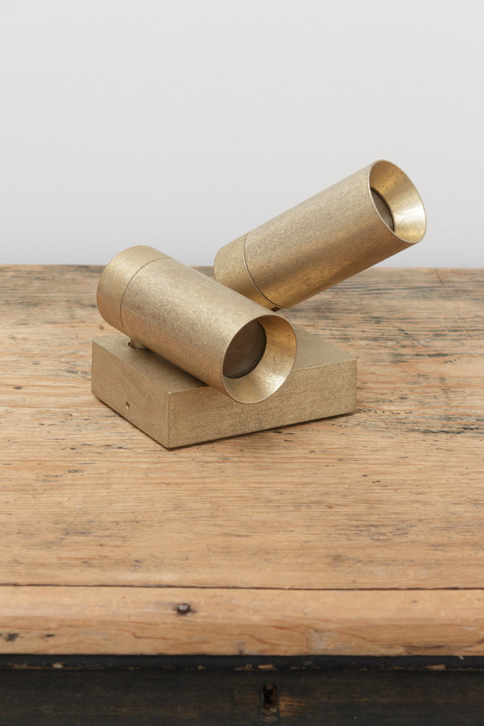 trunk shot of wall light with solid brass with an IP65 weatherproof rating