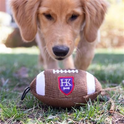 HK Football Dog Toy Large