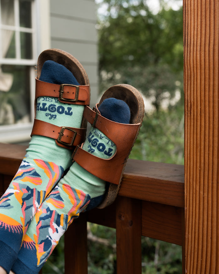 Horizon Socks
