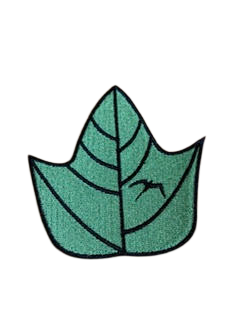 Kukui Light Green