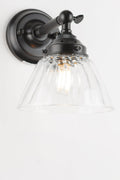 short straight wall sconce in black with a clear shade.