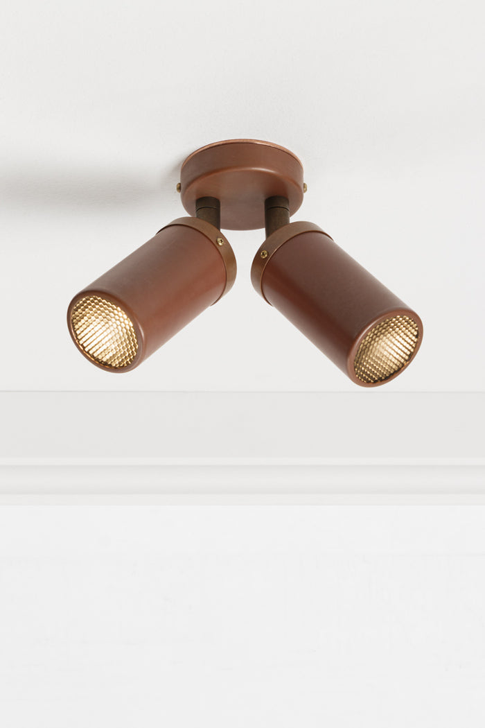 Aged Copper double spot light