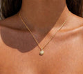 'Opihi Shell Gold Necklace