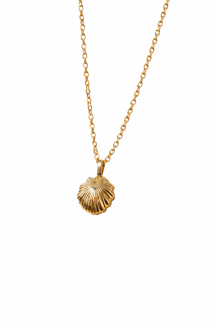 'Opihi Shell Gold Necklace