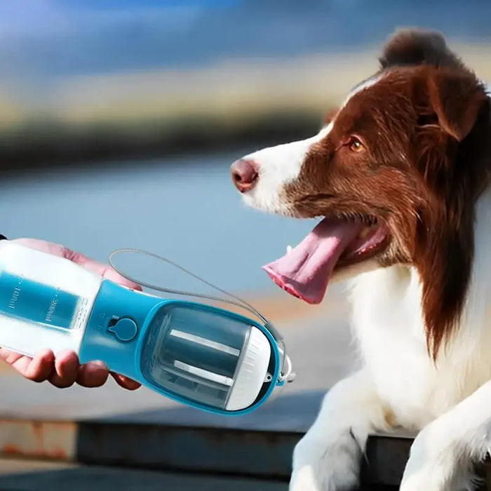 Portable Dog Water Bottle & Feeder