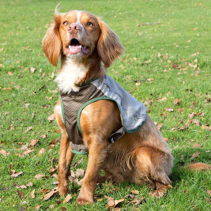 Protect your pooch this summer with our insect shield breathable dog vest, keep them safe from mosquitoes, fleas, ticks and ants! Crafted to provide an easy and comfortable fit. The perfect protection against insects for pets! Available in 7 sizes at Lords & Labradors
