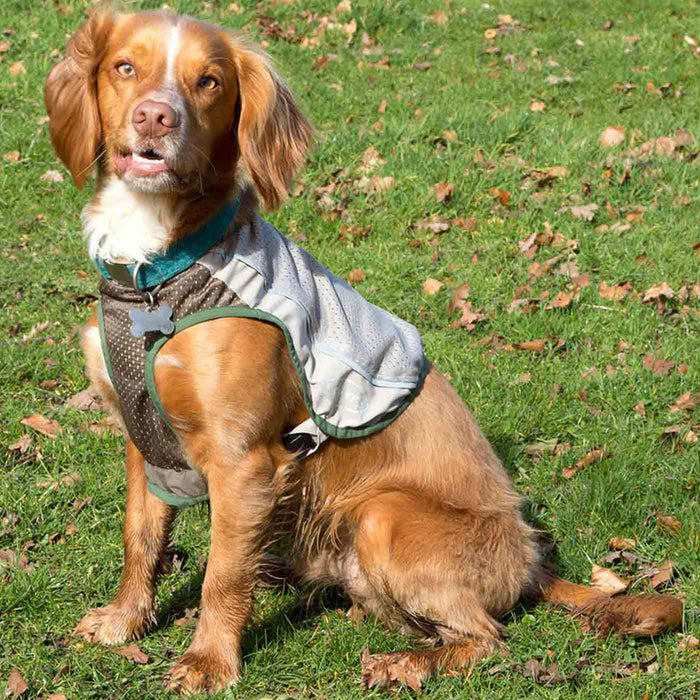 Protect your pooch this summer with our insect shield breathable dog vest, keep them safe from mosquitoes, fleas, ticks and ants! Crafted to provide an easy and comfortable fit. The perfect protection against insects for pets! Available in 7 sizes at Lords & Labradors