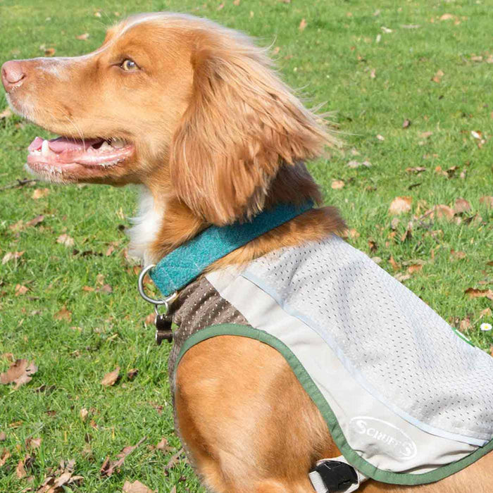 Protect your pooch this summer with our insect shield breathable dog vest, keep them safe from mosquitoes, fleas, ticks and ants! Crafted to provide an easy and comfortable fit. The perfect protection against insects for pets! Available in 7 sizes at Lords & Labradors