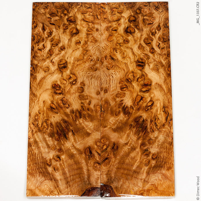 Stabilized wood oak burl panels