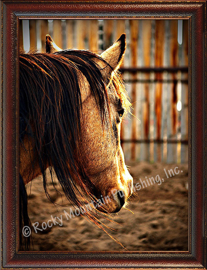 Sunset Corral – Framed Giclee Canvas by Mitchell Mansanarez