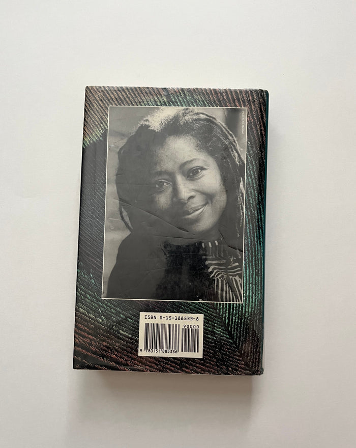 The Temple of My Familiar by Alice Walker