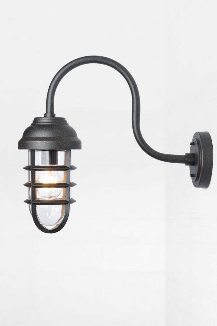 Side view of the wall light with an antique bronze finish, gooseneck arm, cage and glass guard.