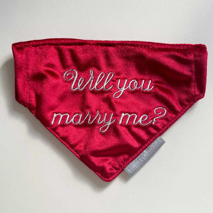 'Will You Marry Me?' Bandana In Mushroom Velvet by Lords & Labradors