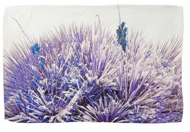 Winter Yucca in Blue Kitchen Towel